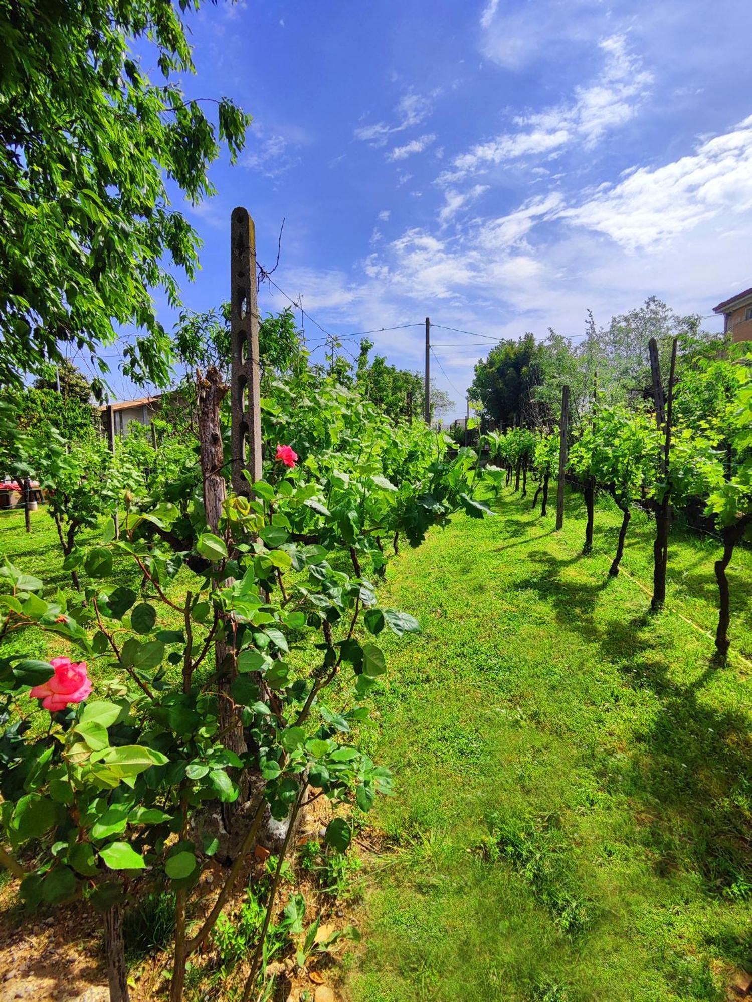 Garda Relais Antica Romelia Montichiari Exterior foto